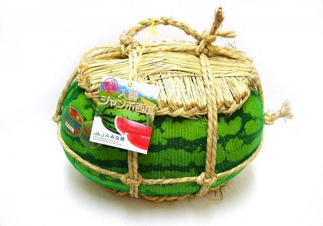 入善ジャンボすいか